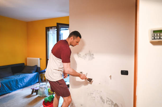 Reliable Faith, NC Mold Remediation Solutions